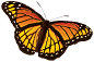 large monarch butterfly